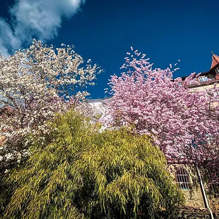 Apartman Gartenloft An Der