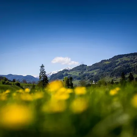 Gartenloft An Der *