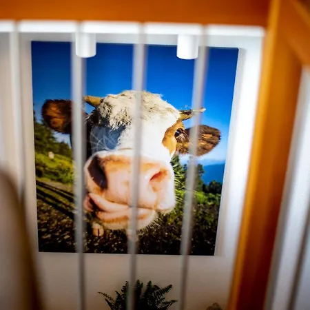 Gartenloft An Der Апартаменты Мурау