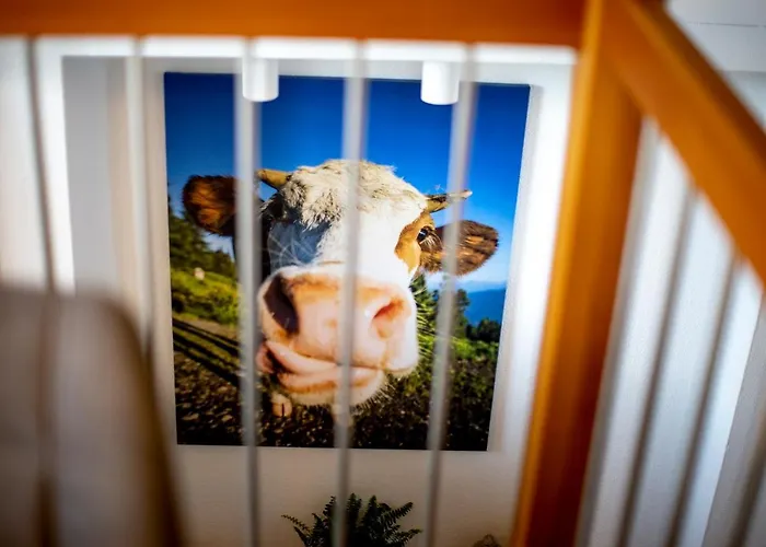 Gartenloft An Der Appartement Murau